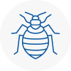 Bed Bug Extermination In Sleaford